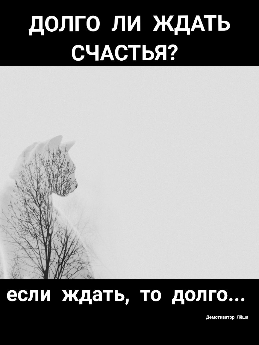 ДОЛ ГО ЛИ ЖДАТЬ СЧАСТЬЯ если ждать ТО дОЛГО демптишор Лёша