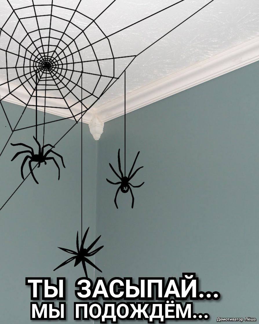 ты зАсыпАи мы подождЕм