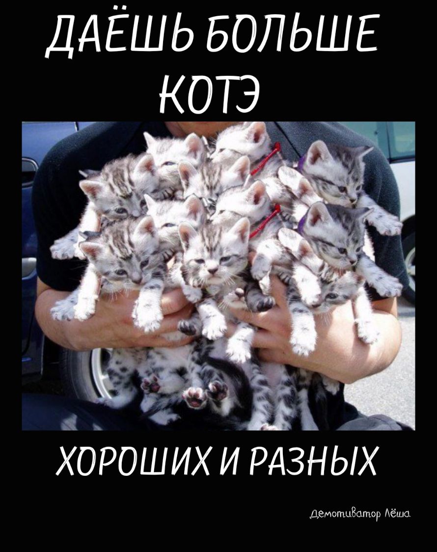 ДАЁШЬ БОЛЬШЕ КОБ ХОРОШИХ И РАЗНЫХ ДемоцВотор Аёшо