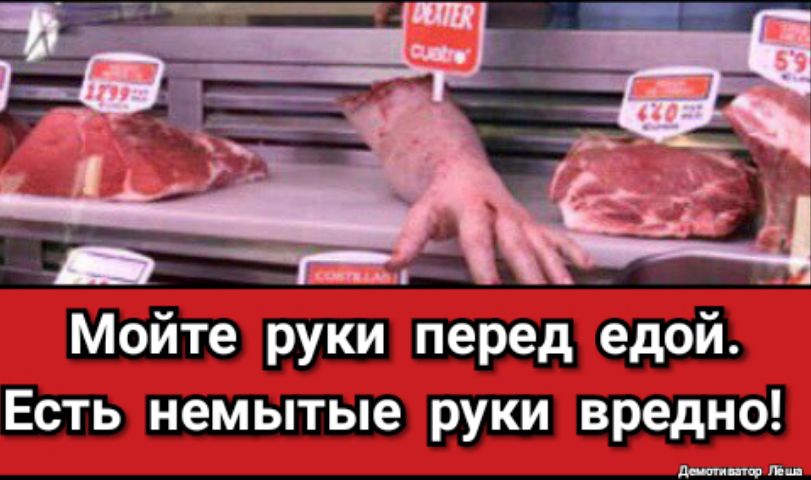 в _і ЦЭГ т Ешьимт а _в_ _ _