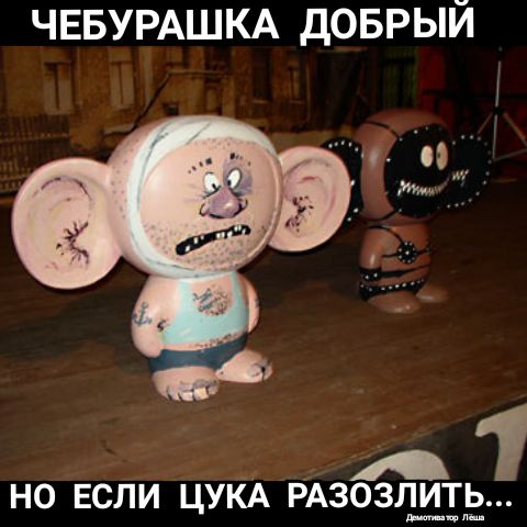 ЧЕБУРАШКА доврый но ЕСЛИ ЦУКА РАЗОЗЛИТЬ пъ