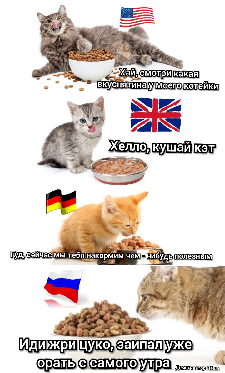 _ вкуснятина орапьсасамого ___3