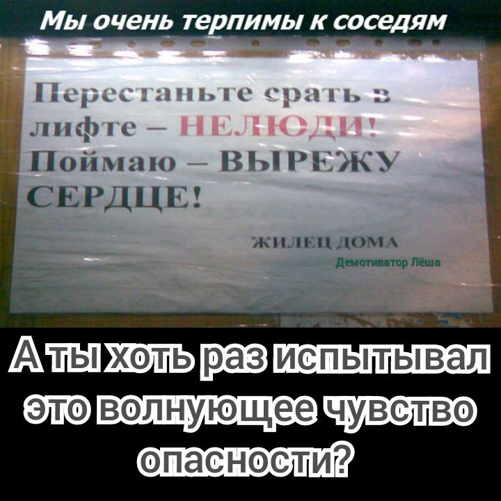 Мы ОЧЕНЬ ТЕРПИМЬ К соседям _ ь __ 1СіііАііёіі нифи ч Пойма ВЫ РЕЖ СЕРДЦЕ ЖИЛЕЦ ДОМА д ЁЁ г АПН ХОТЬ испытывал ЭШ волнующее чувство опасности