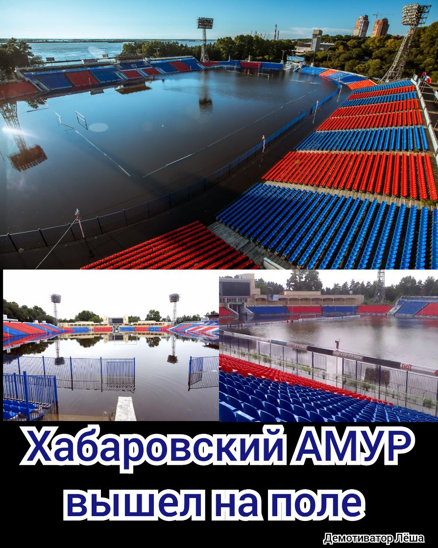 АМУР ниша демотиватор
