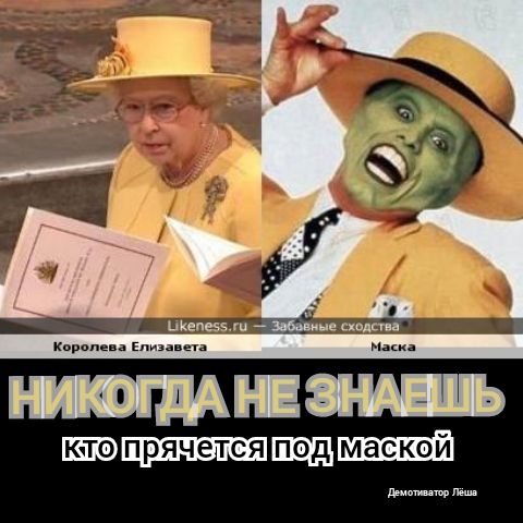кито ли и