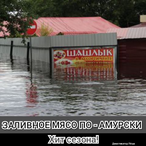 ЗАЛИВНОЕ мясо ШЕФШ 0