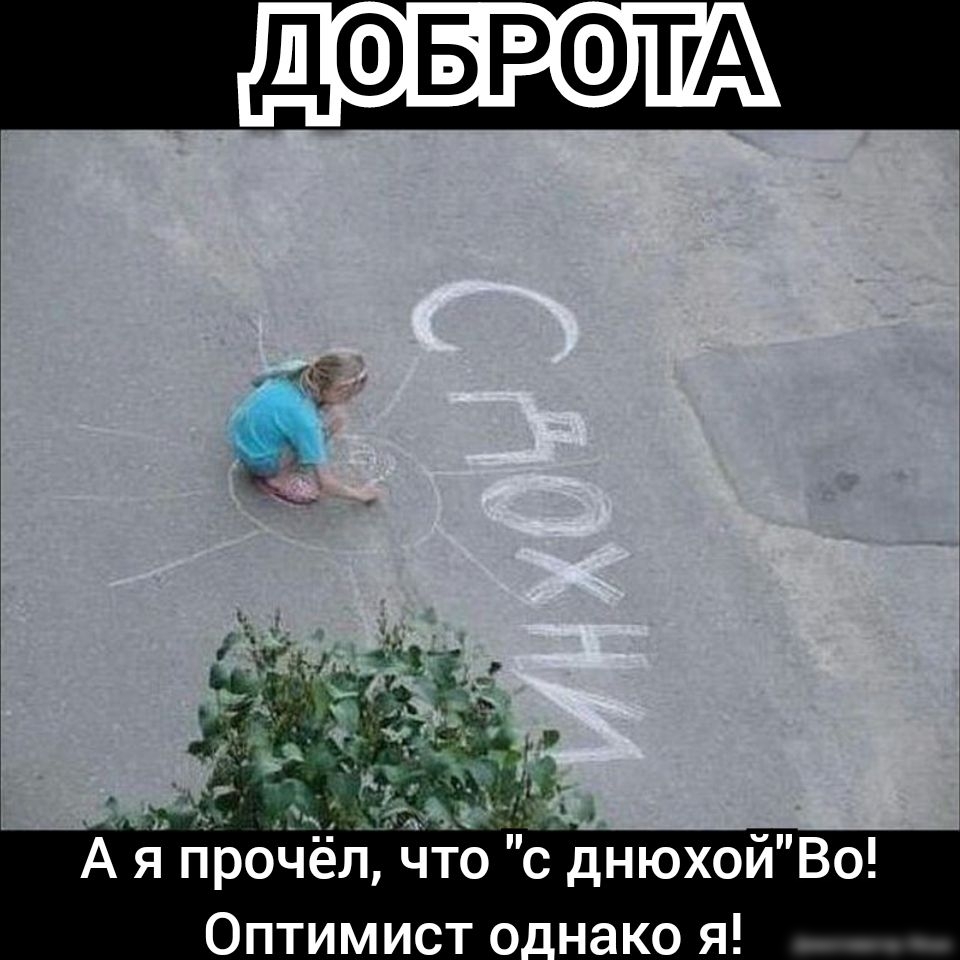 А я Прочёл что сднюхои Во Оптимист нако я