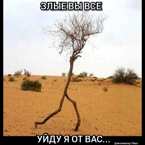 ЗЛЫЕ ВЫ ВЗЕ