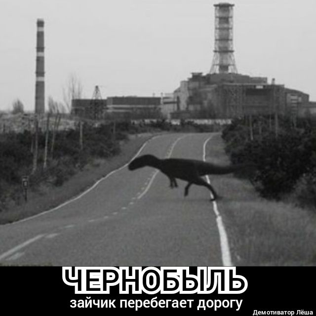 ЧЕРНОБЫЛЬ зайчик перебегает дорогу д аюр е