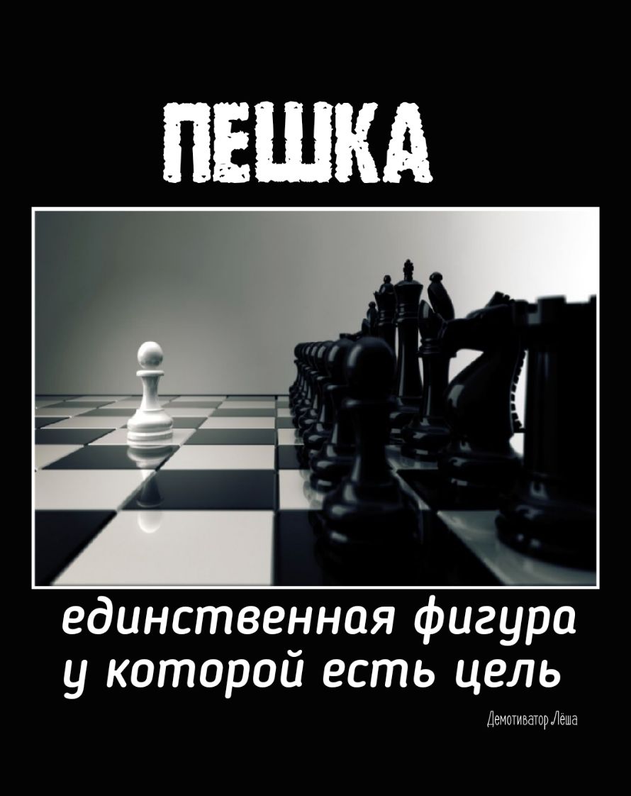 единственная фигура у которой есть цель Демотиватордеша