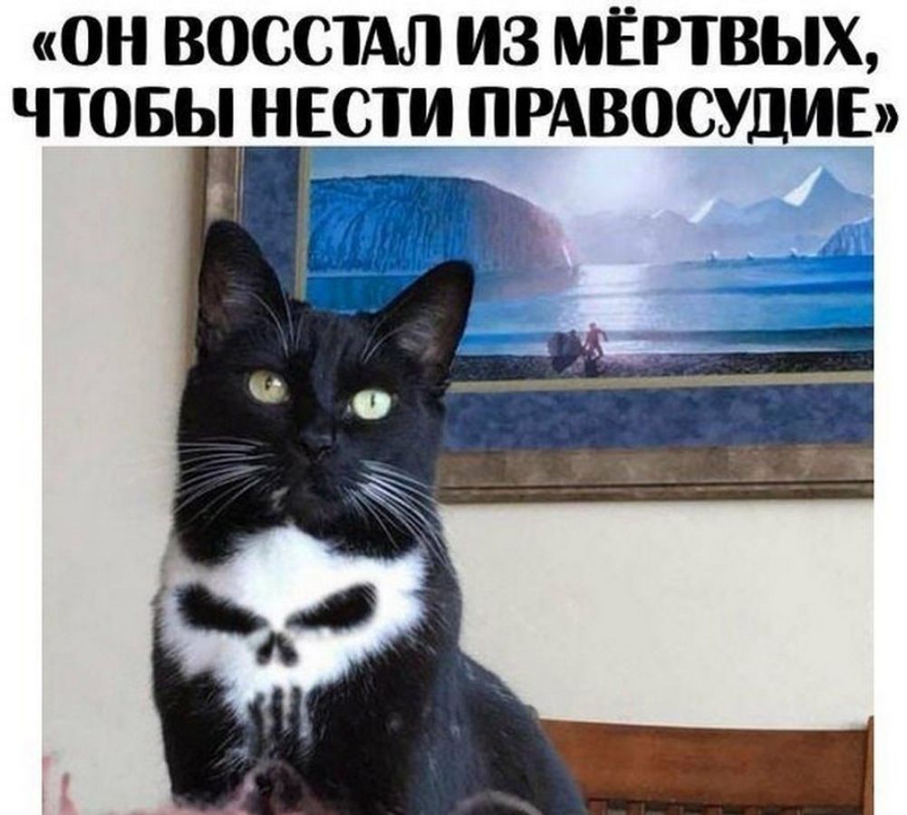 ОН ВОССТАЛ ИЗ МЁРТВЫХ ЧТОБЫ НЕСТ ПРАВОСУДИЕ