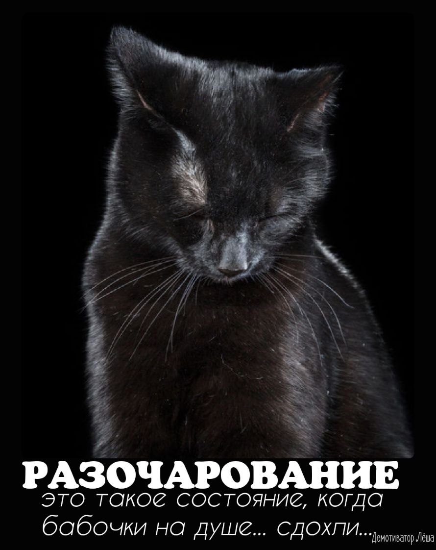 _ т ЁЁ і і _ РАЭДОЧАРОВАнив это токов состояние когдо бобочки но душе сдохли Демотивашрдешд