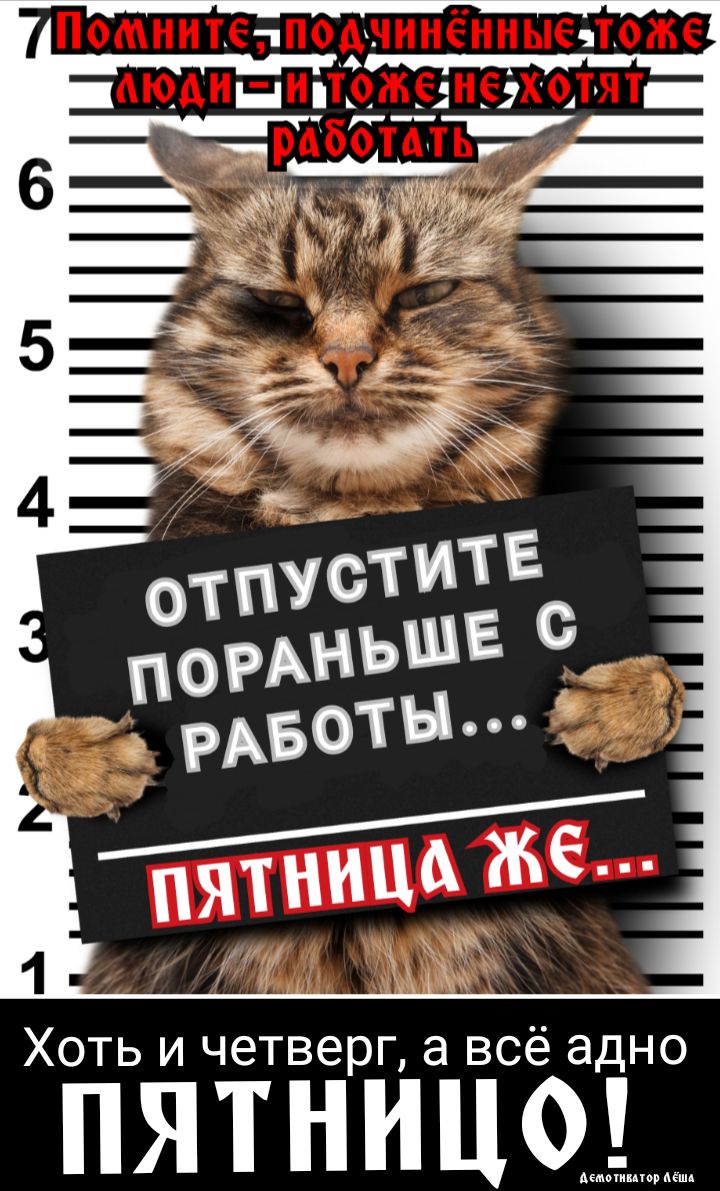 ПЯТН Ц ддддддддддддддд