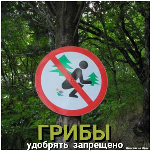 гРідвы б ят зап ещено __