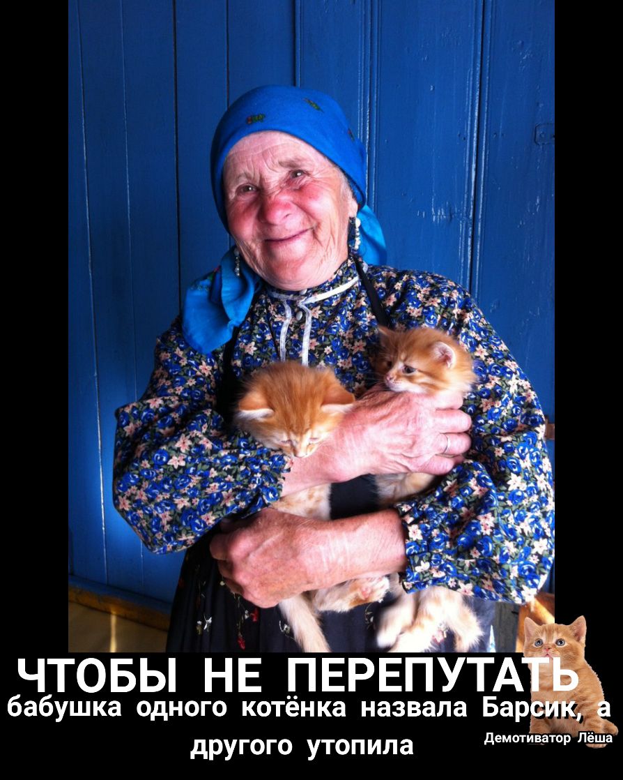 66чтовы нЕ ПЕРЕПУТА бба ушка одного котёнка назвала Бар на другого Утопила демогивэтор Лё_ша