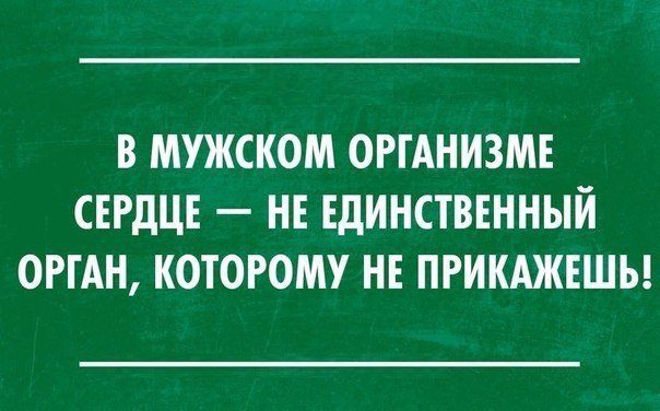 В МУЖСКОМ ОРГАНИЗМЕ СЕРДЦЕ НЕ ЕДИНСТВЕННЫЙ ОРГАН КОТОРОМУ НЕ ПРИКАЖЕШЬ