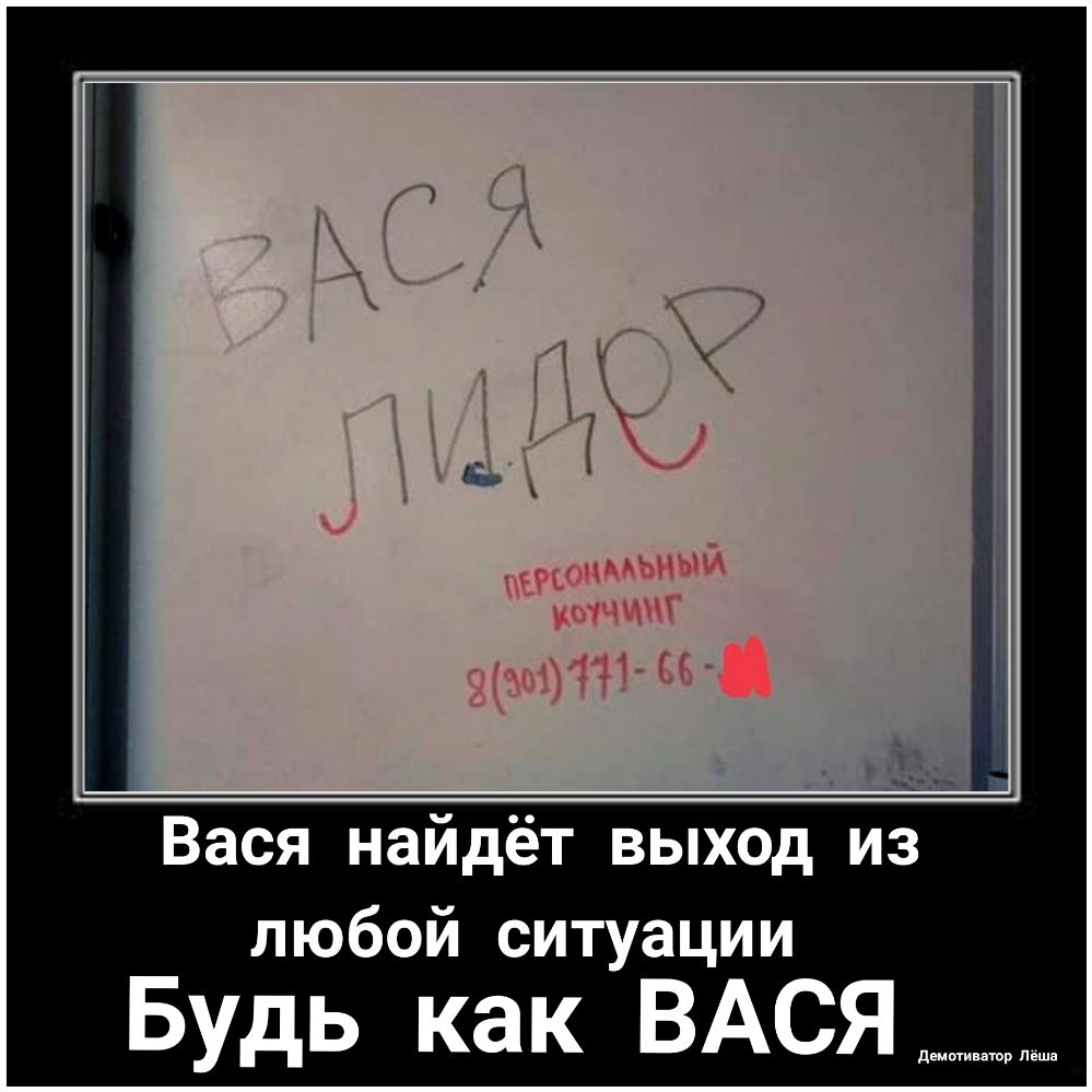 Вася найдёт выход из любой ситуации Будь как ВАСЯ джин шар лиш