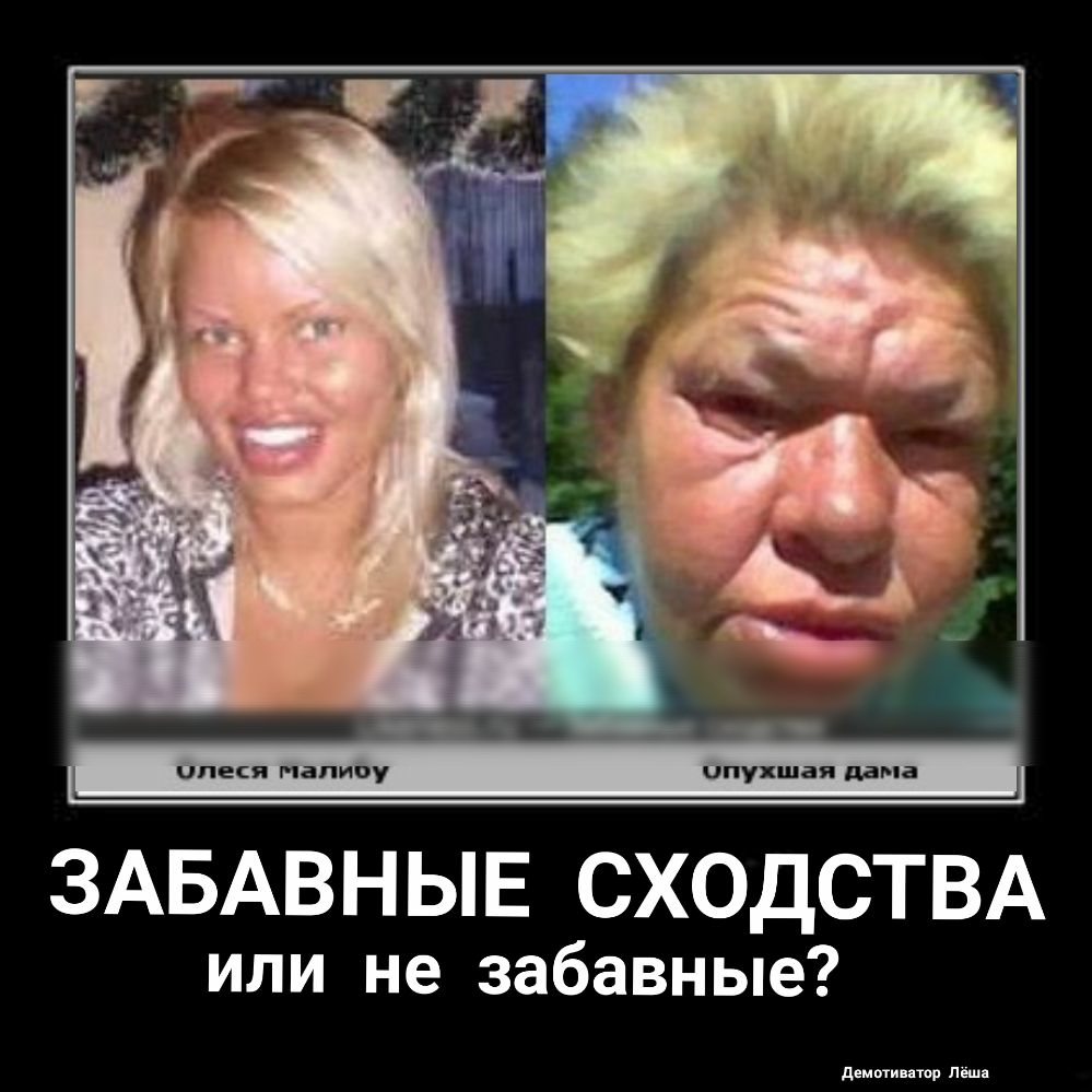 ЗАБАВНЫЕ СХОДСТВА или не забавные демин пор паи