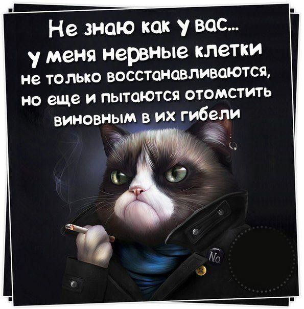Не знаю как у вас у меня нервные КЛСТКИ не только восстоновливоются но еще и пытаются отомстить виновным в их гибели