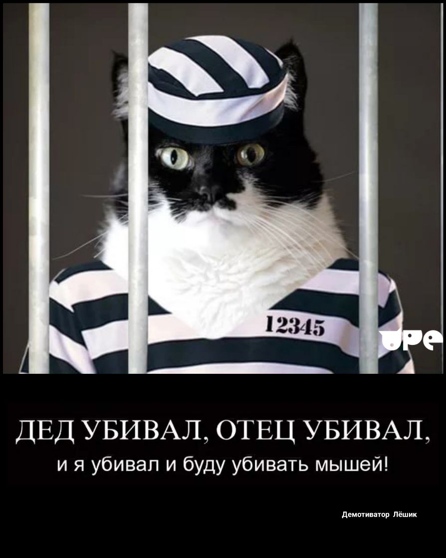 ДЕД УБИВАЛ ОТЕЦ УБИВАЛ и я убивал и буду убивать мышей демитинатвр Пешик