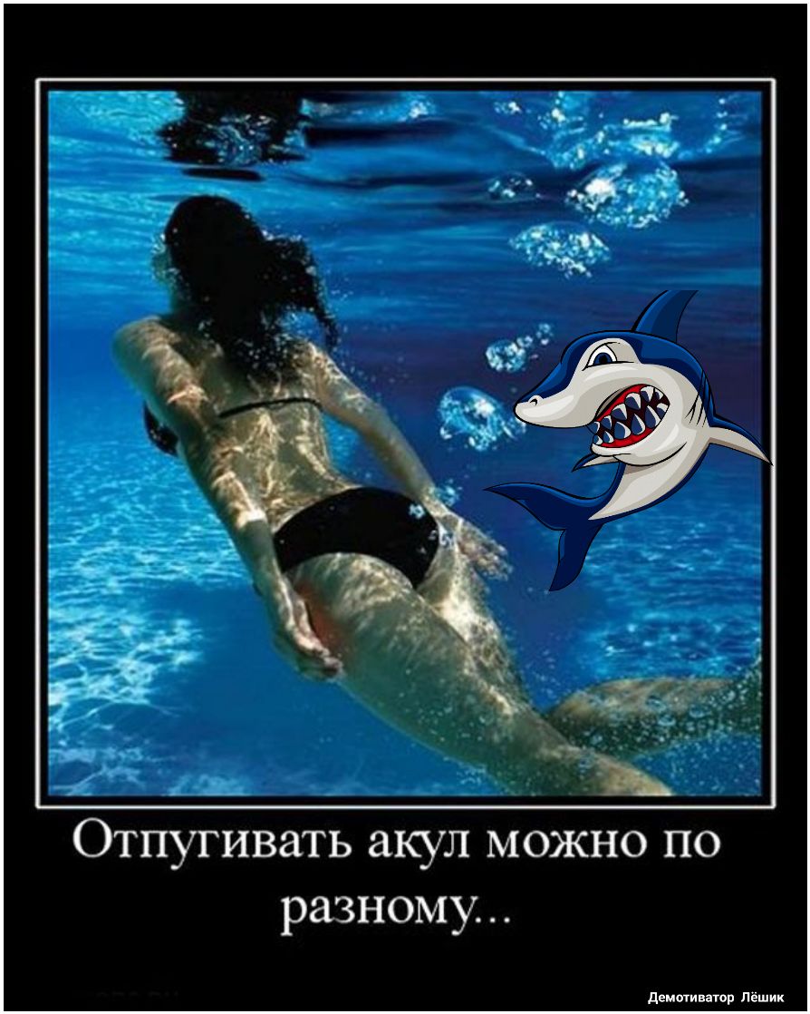 Отпугивать акул МОЖНО ПО разному децтиваюр Пёшик