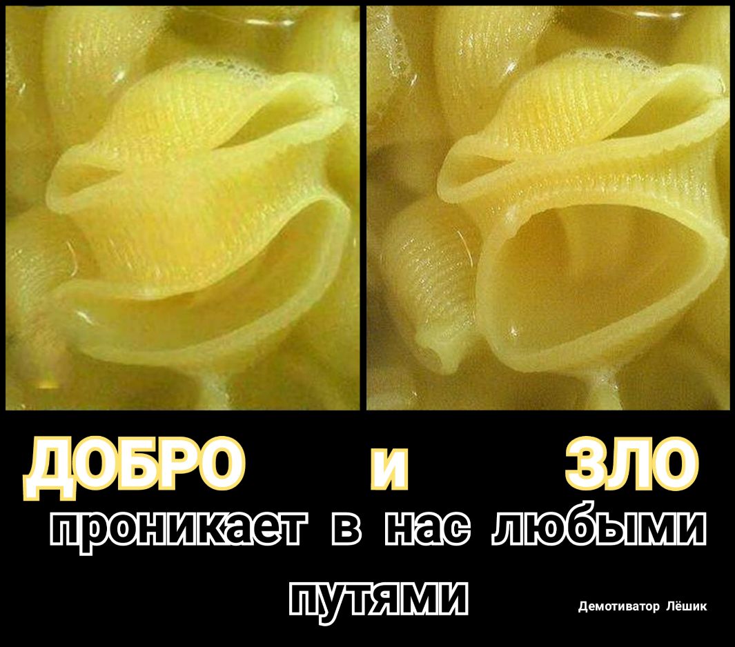 53 шпыгшш