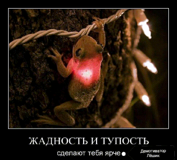 ЖАДНОСТЬ И ТУПОСТЬ сделаюттебяярче 1