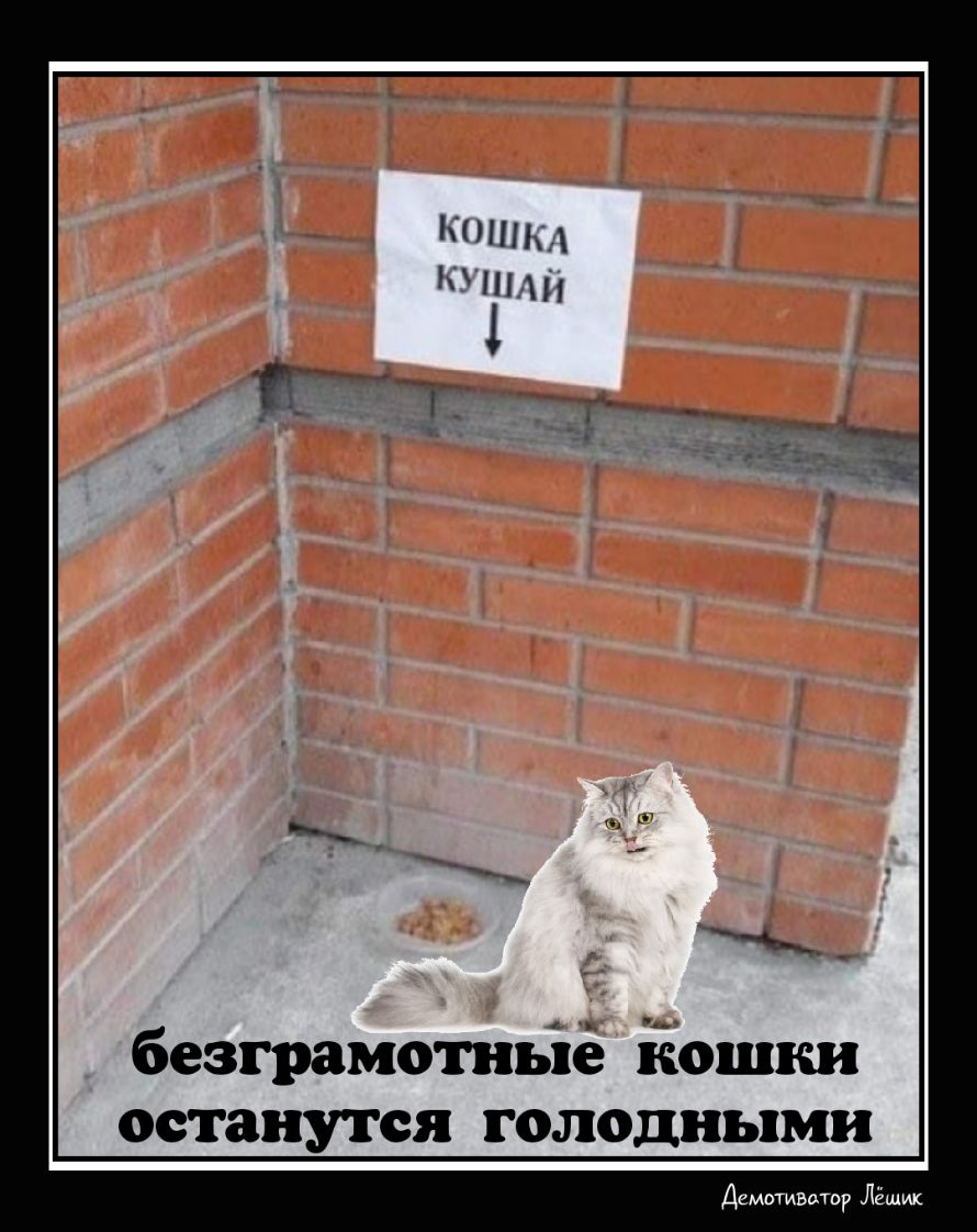безграмотньіё ііошки останутся голодными Деммивптр Лёшик