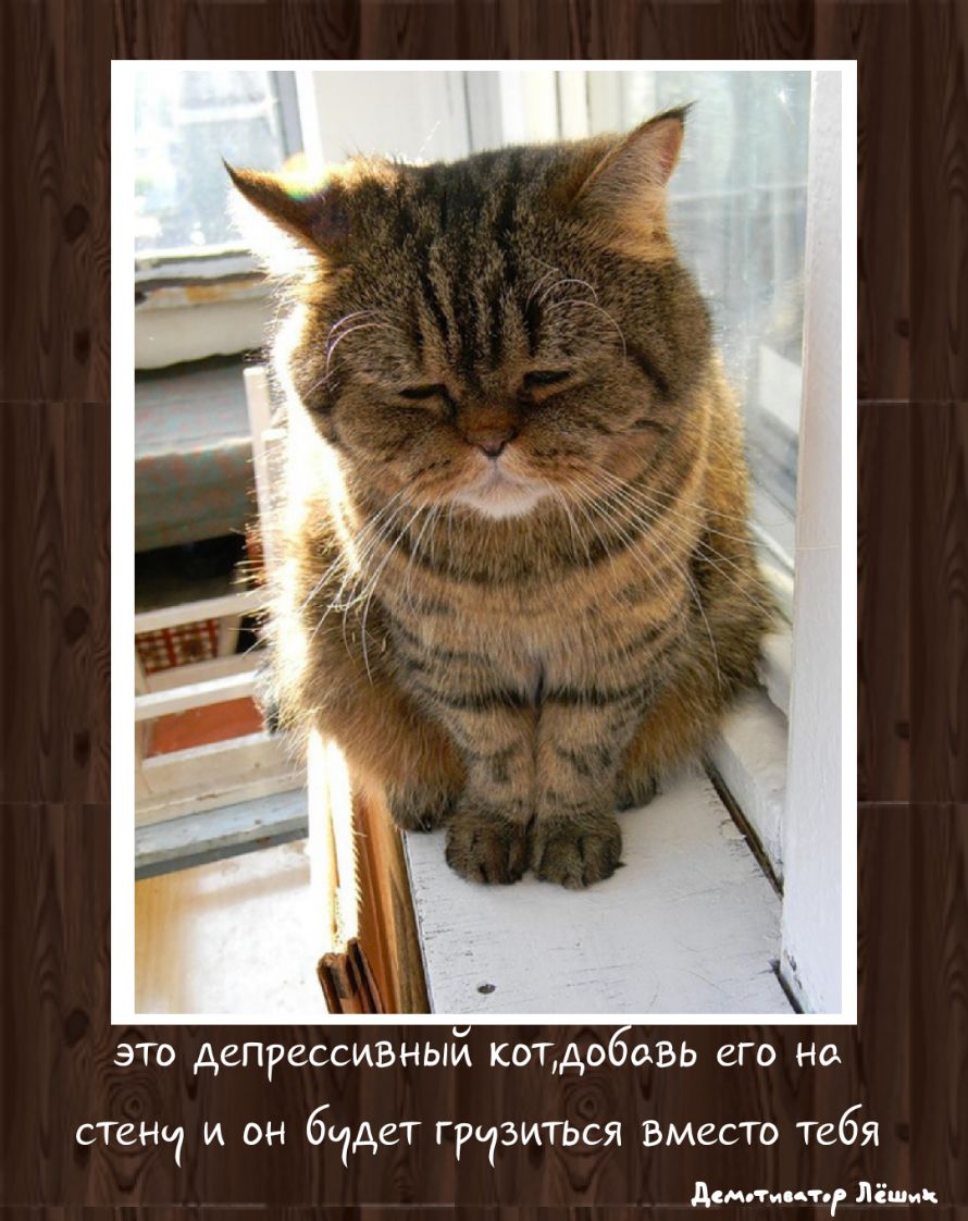 ЭТО АСПРСССИБНЫИ КОТАО СБЬ ЕГО Нд ствии и он бчдет ГРЧЗИТЬСЯ вместо тебя демки атс Лёши