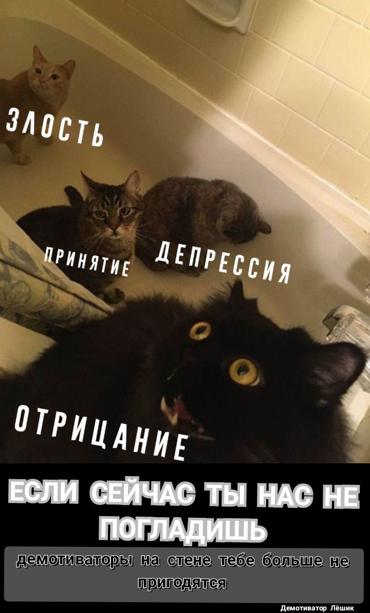 депп истори тыща демотицюр Лёшик