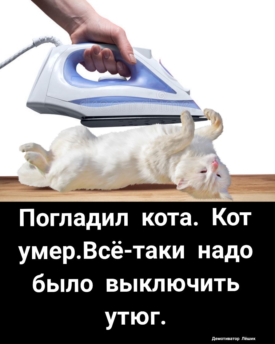 Погладип кота Кот умерВсё таки надо было выключить