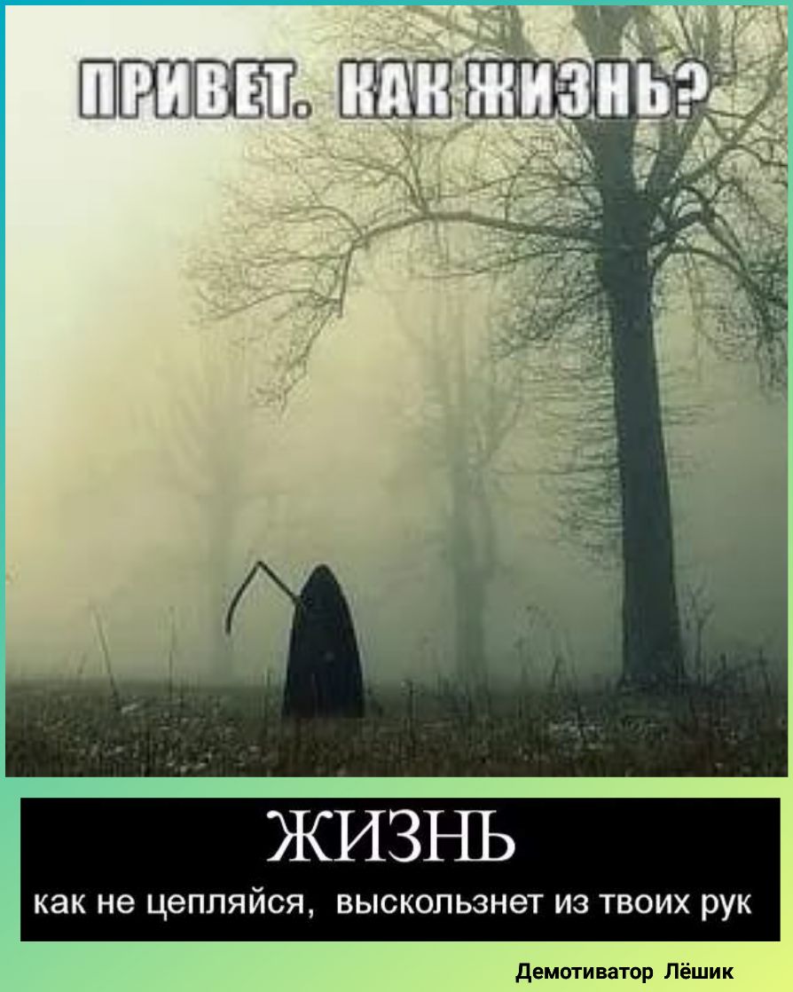 ЖИЗНЬ как Не ЦЗПЛЯЙСЯ ВЫСКОЛЬЗНЗТ ИЗ ТВОИХ РУК демотиватор Лёшик