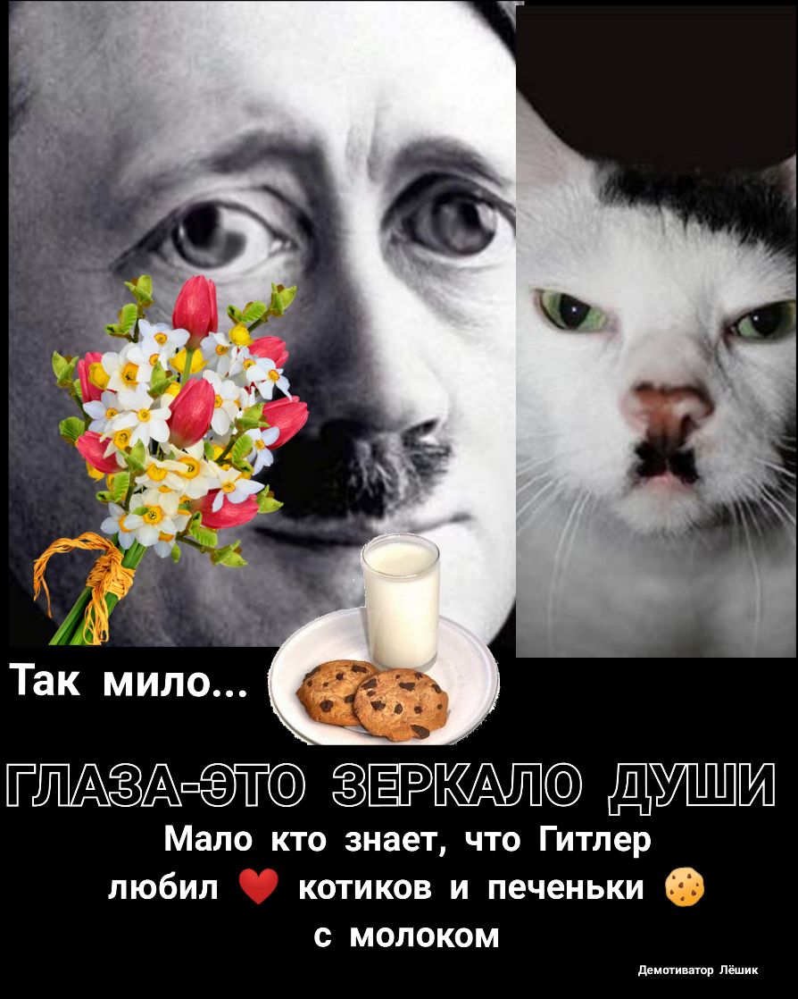 ГАшт ЁРЮЁЪШСЭ Д Мало кто знает что Гитлер любил котиков и печеньки Р С МОЛОКОМ ддмптинашр Пёшик