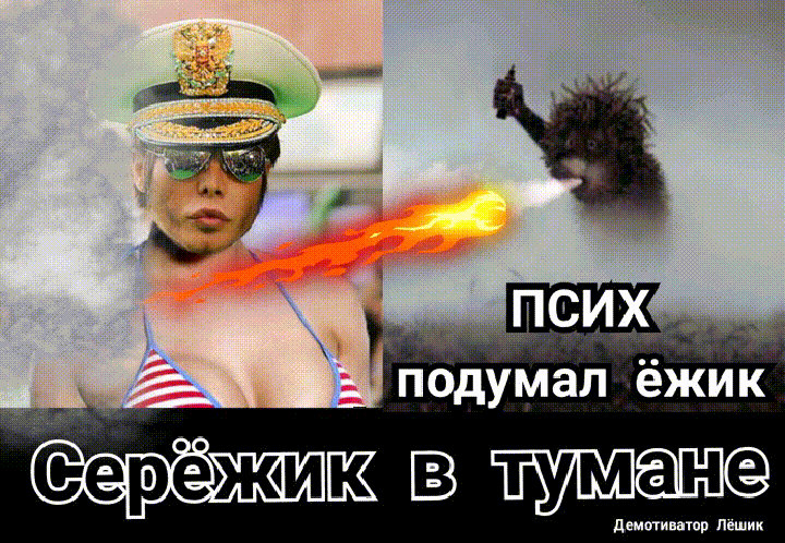 подумал ёЖИК жв В