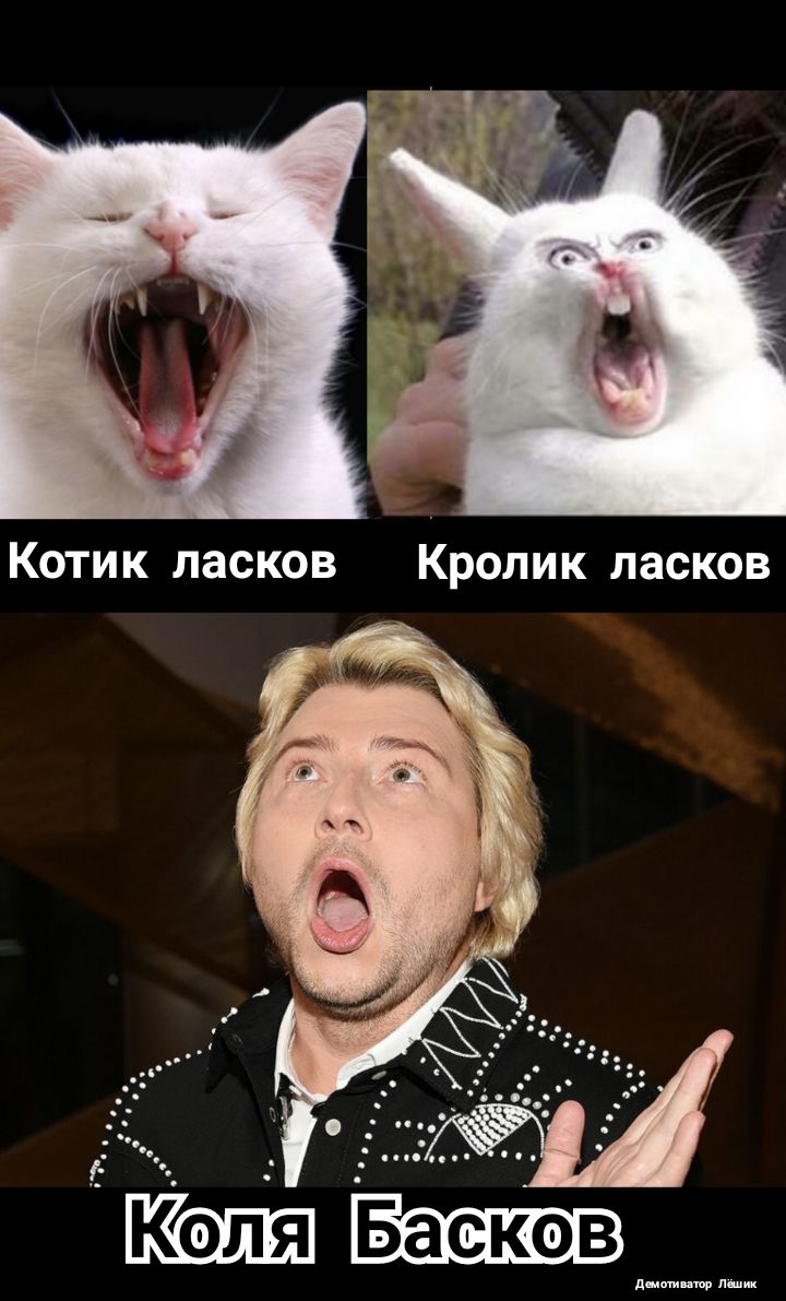 ди тр п