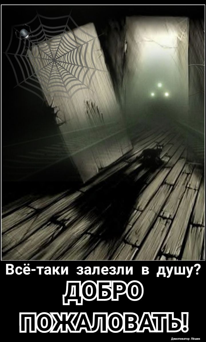 Всё таки залезли в душу ДФБРФ и