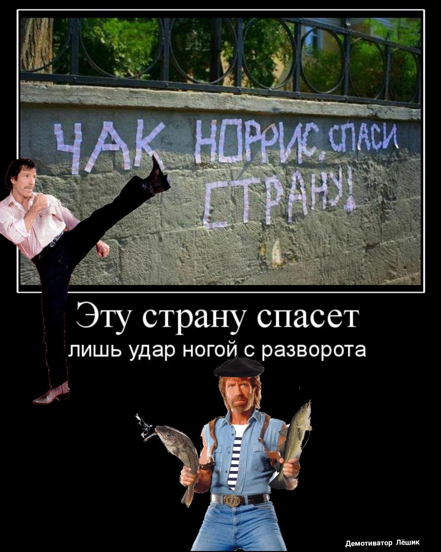 Эту страну спасет лишь удар ногой сразворота двишишвр Лёшик