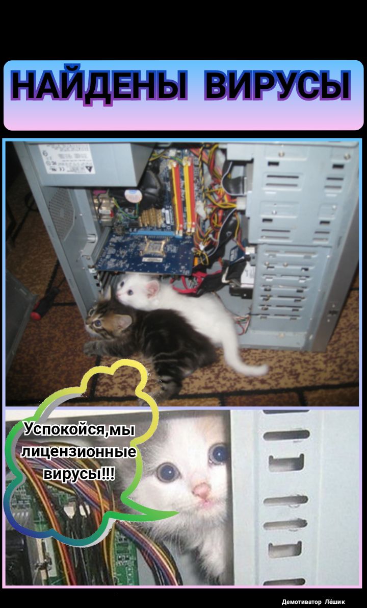 НАЙДЕН Ы ВИРУСЫ