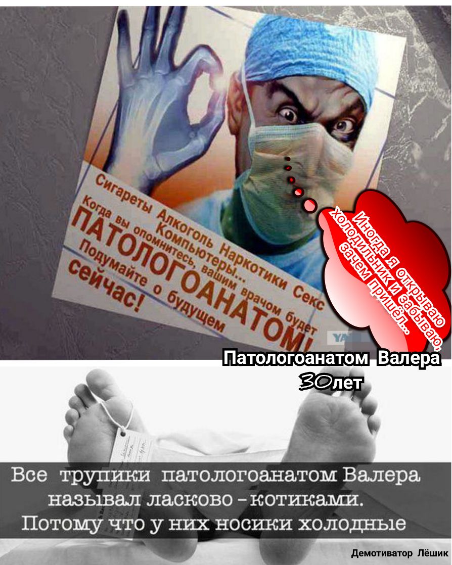 Эъ Все трупгпси патологоанатом Валера называл ласково котикаъш ПОТОЗМЁУ ЧТО У НИХ НОСШСИ холодные