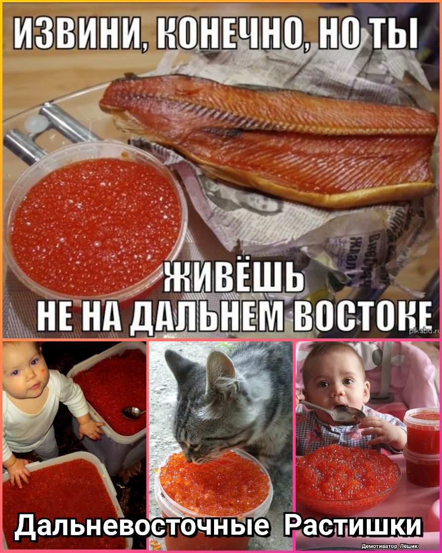 _ _ _ _ _ __ о 11 1 _1__ ДальневосточныеРастишки