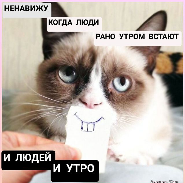 НЕНАвижж КОГДА люди А РАНО УТРОМ ВСТАЮТ