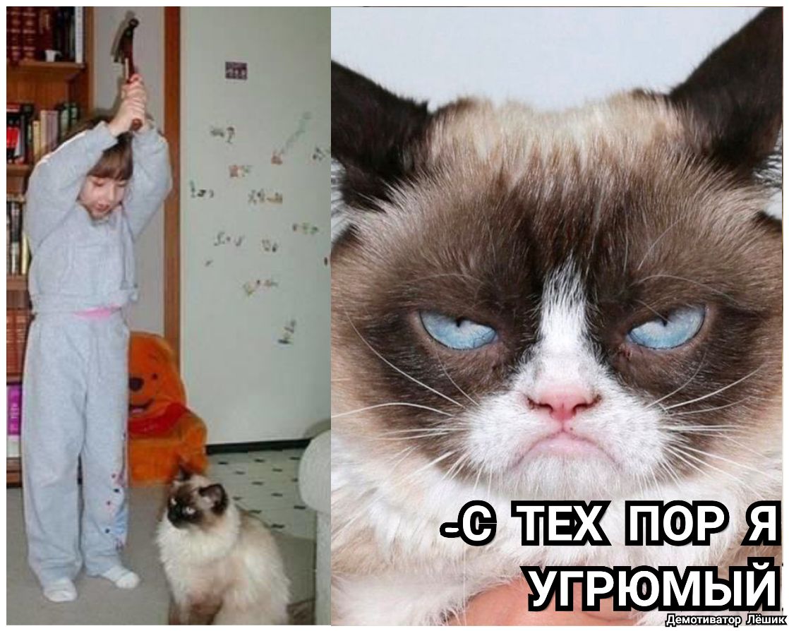 ШШШ тор демшива угрюмыи