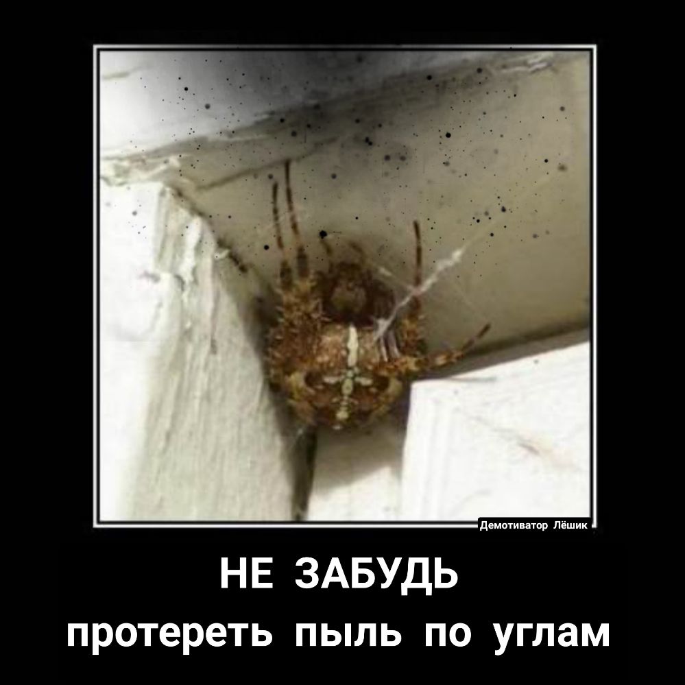 НЕ ЗАБУДЬ протереть пыль по углам