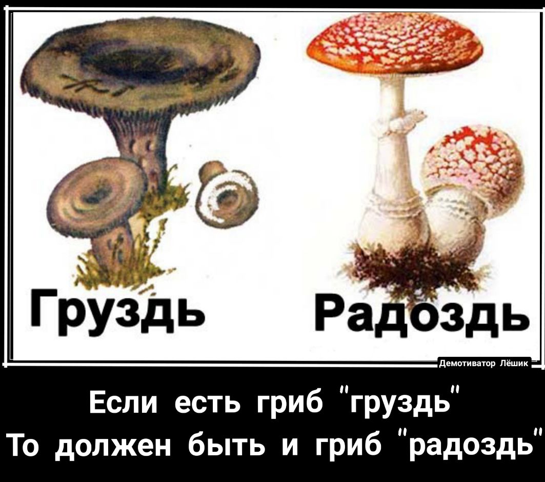 Если есть гриб груздь То должен быть и гриб радоздь