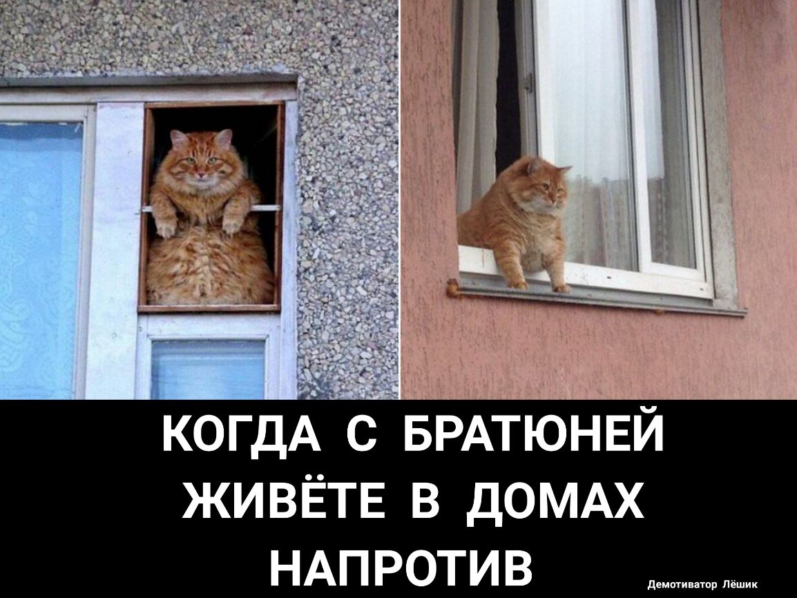 когд БРАТЮНЕЙ ЖИВЁТЕ в домдх НАПРОТИВ