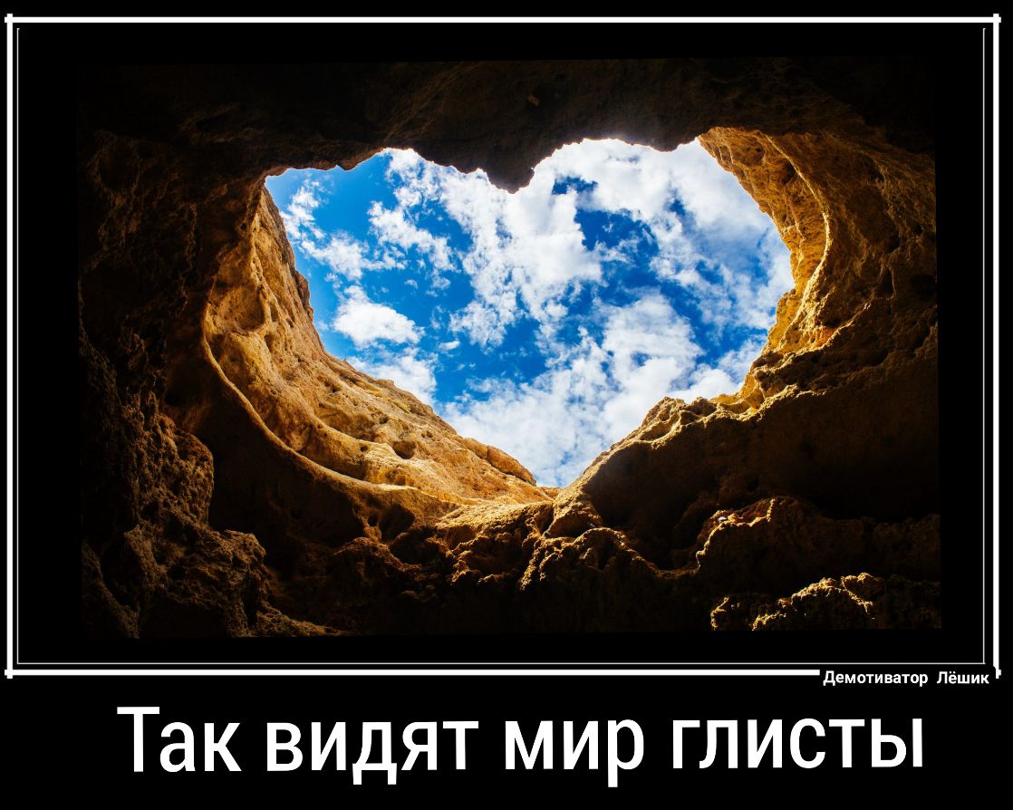 демотиватор Лёшик Так видят мир глисты