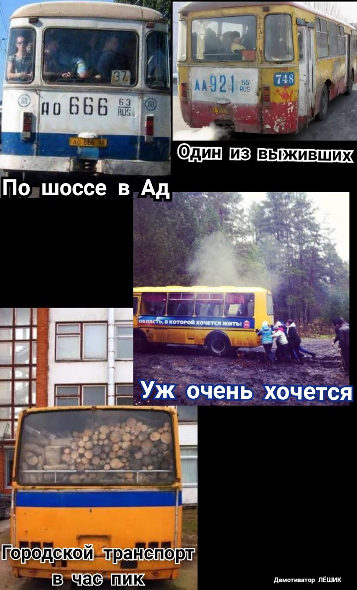дент дтп пёшик