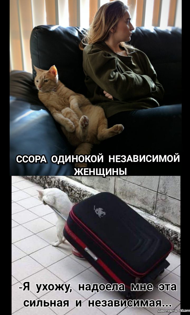 5 ссогЙ одинокой НЕЗАВИСИМОЙ Ё жвнщины