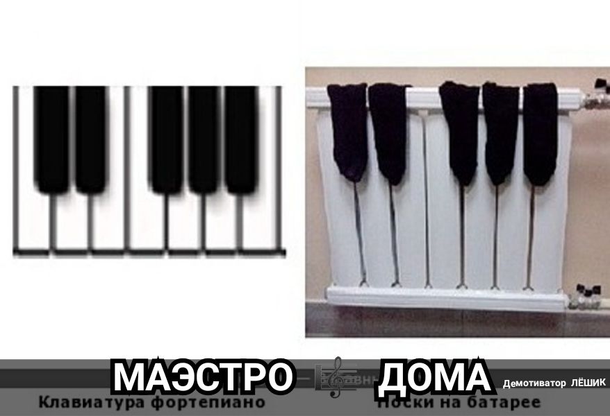 МАЭСТРО домр