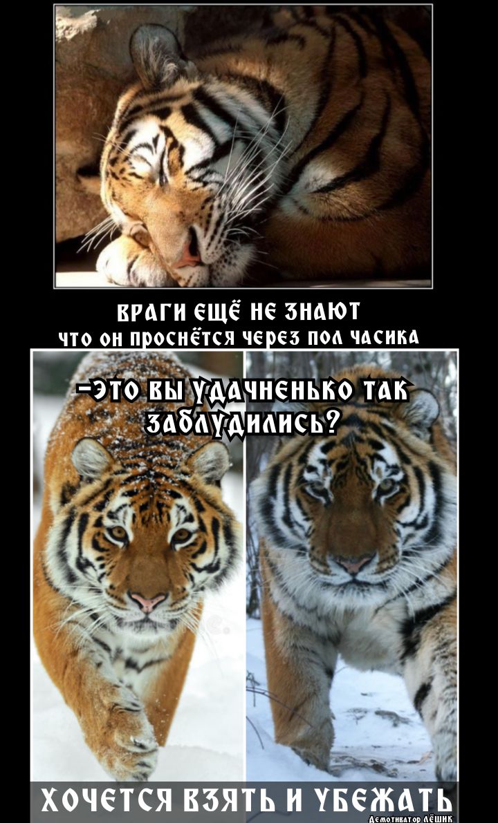 ВРАГ СЩЁ НС ЗНАЮТ СНЁТСЯ ЧЕ СЗ ПОА ЧА ХОЧСТСЯ ВЗЯТЬ и УБСЖ ТЬ дёшик